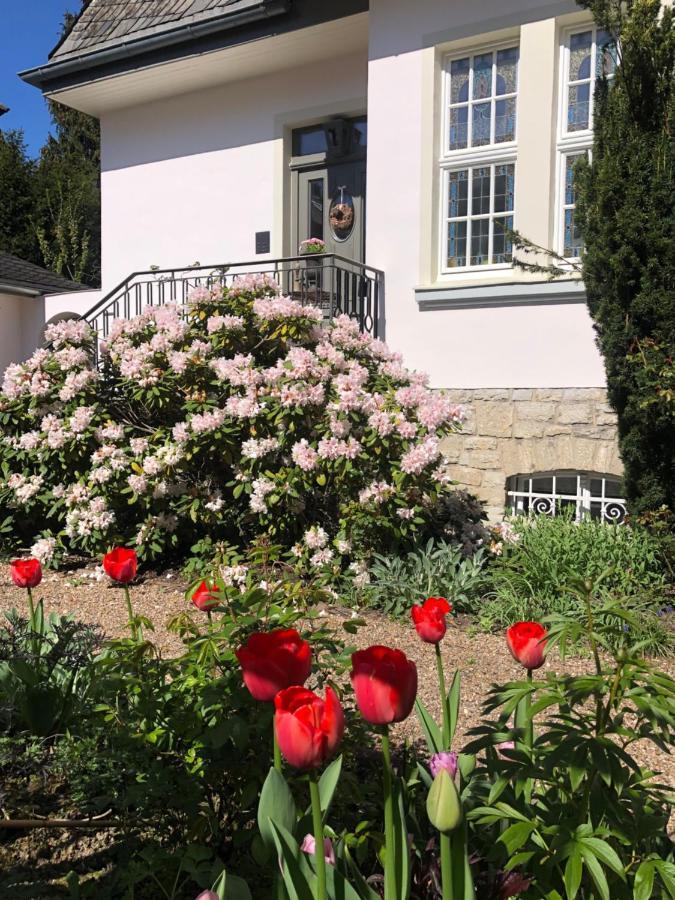 Villa Rosa - Sky Detmold Exterior foto